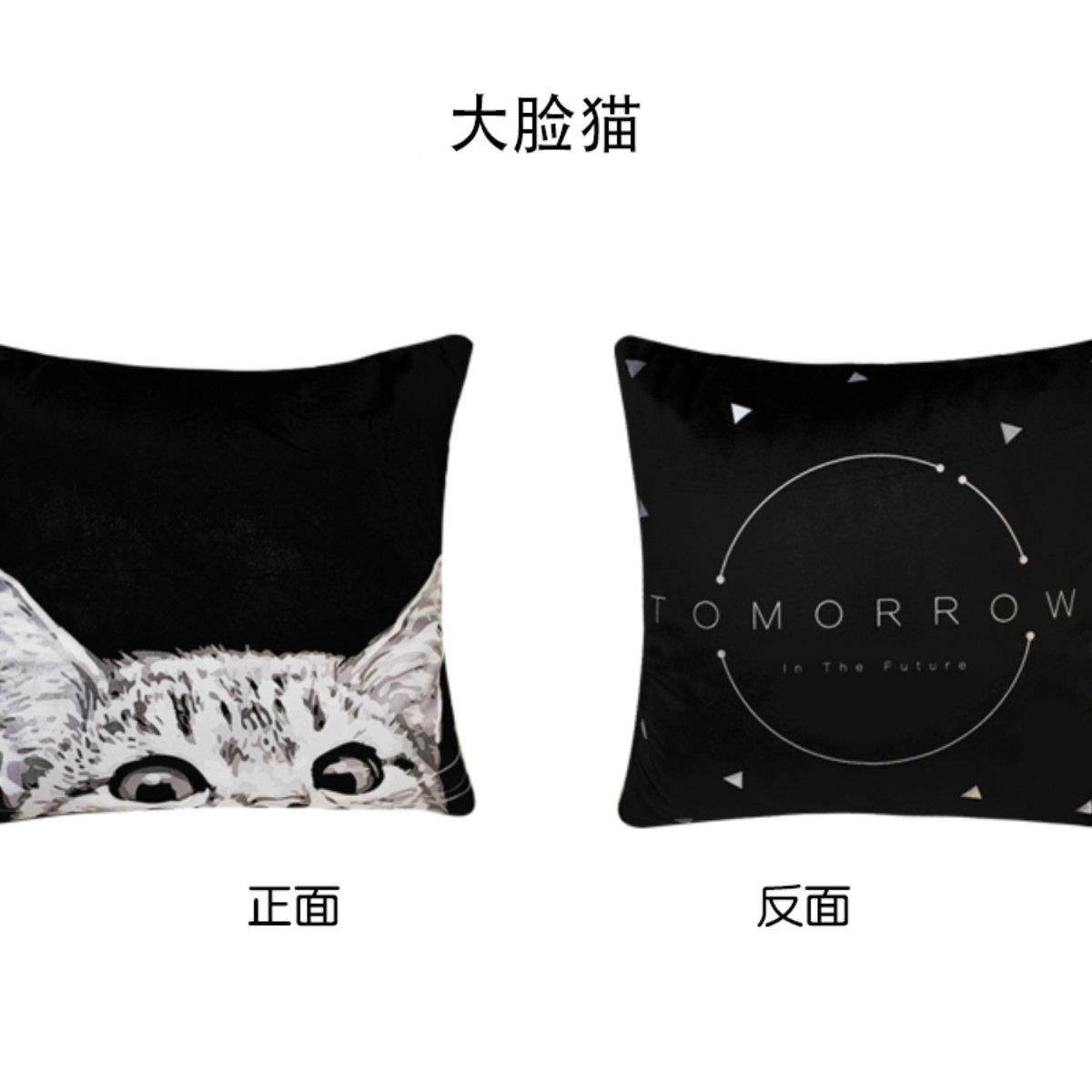 卡通ins抱枕被毯子两用办公室汽车沙发靠枕靠垫空调被加厚多功能,淘宝优惠券,粉丝福利购,淘宝优惠卷