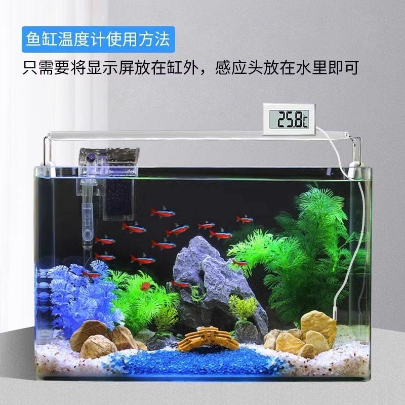 电子温度计水族数显数字水温计浴缸冰箱鱼缸水温表测温仪防水探头,淘宝优惠券,粉丝福利购,淘宝优惠卷