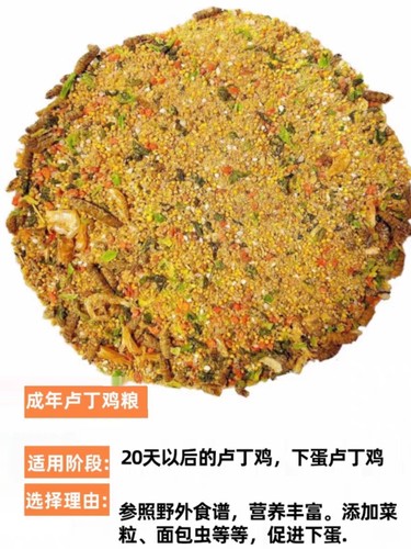 芦丁鹌鹑饲料粮食育大小卢丁鸡开口粮宠物吃幼鸡专用产蛋食物蔬菜-图0