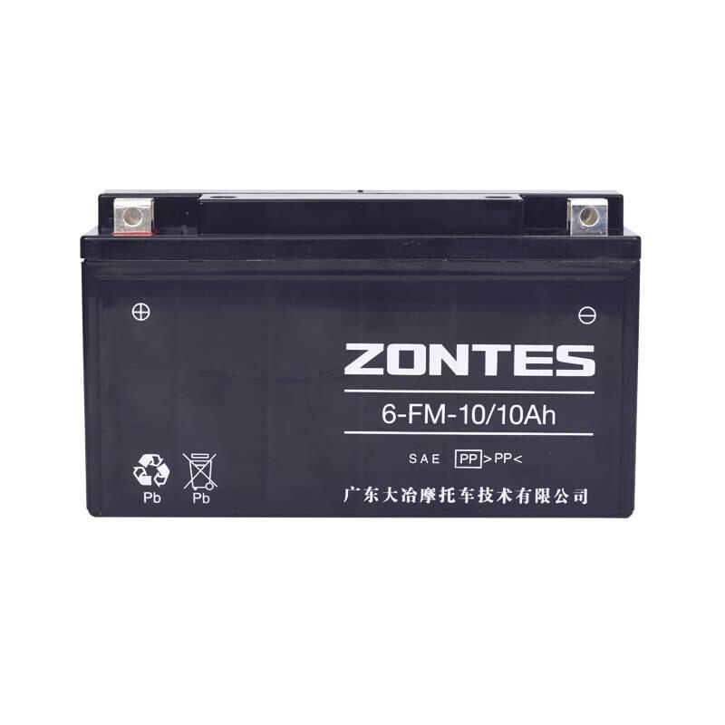 升仕ZT310-X1-X2-T1-T2-R1-R2摩托车电瓶蓄电池ZONTES启典KD150-U - 图3