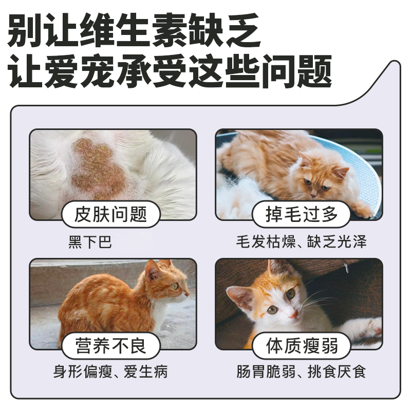 贝恩兰猫狗复合维生素b多种维生素片宠物营养幼猫幼狗防掉毛-图3