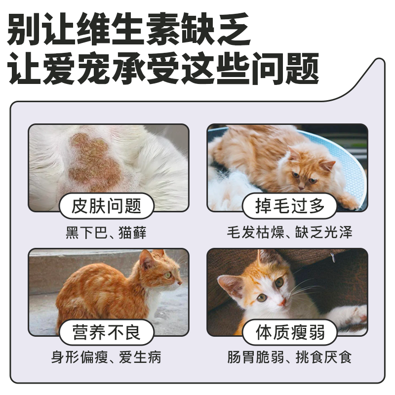 贝恩兰猫狗复合维生素b猫藓多种维生素片宠物营养幼猫幼狗防掉毛-图3