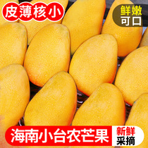 Hainan small bench farm mango fresh 10 catty should season tropical fruit small Taimong whole box terte mango 5