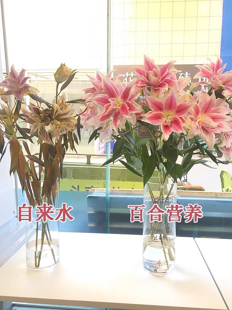 荷兰可利鲜百合伴侣专用10g袋装粉剂球根类鲜花芍药马蹄莲营养剂,淘宝优惠券,粉丝福利购,淘宝优惠卷