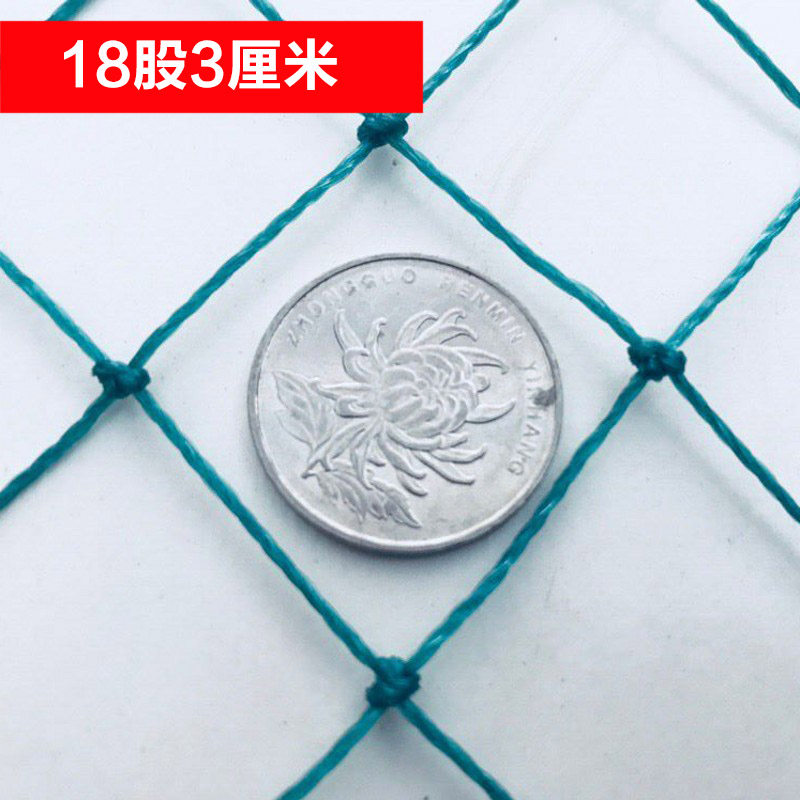 家禽养殖网山鸡网养鸡网尼龙网拦鸡围网防鸟网护栏网菜园网爬藤网,淘宝优惠券,粉丝福利购,淘宝优惠卷