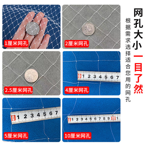 防鸟网果树果园大棚尼龙线防乌网阳台樱桃树葡萄窗户鱼塘用的天网