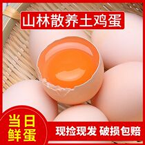 (Day Fresh Egg) Zhengzong Authentic Eggs Fresh Eggs Big 40 Scattered Chai Eggs Grass Eggs