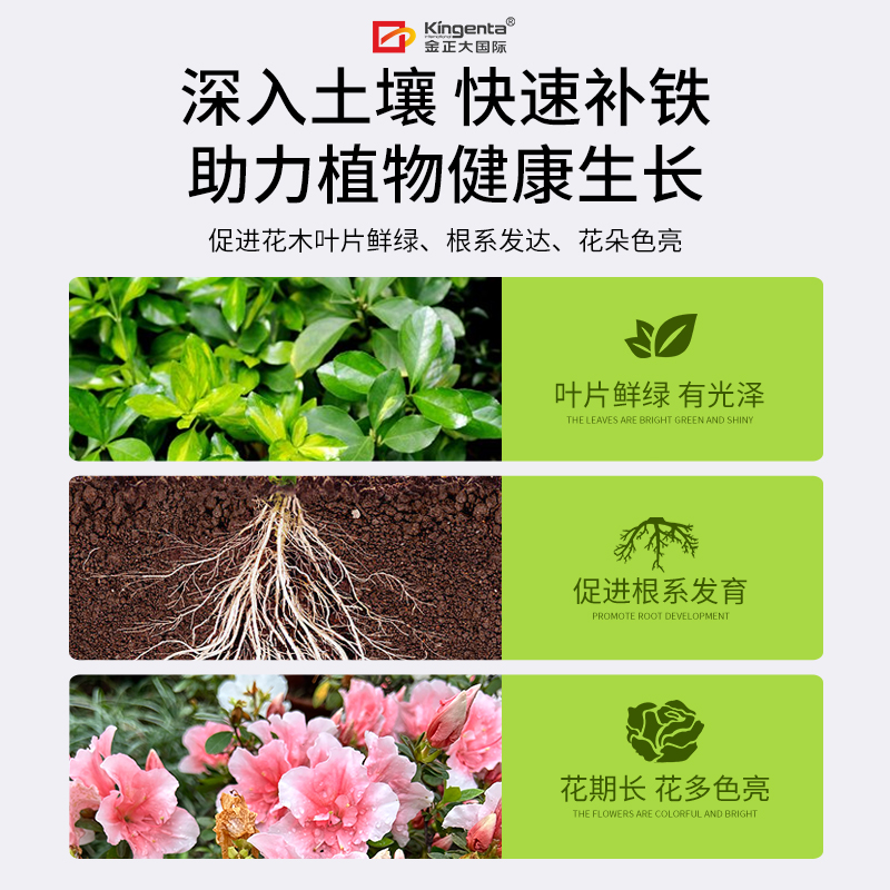 金正大硫酸亚铁水溶肥料花卉专用绿植茶花栀子花酸性土壤植物花肥 - 图2