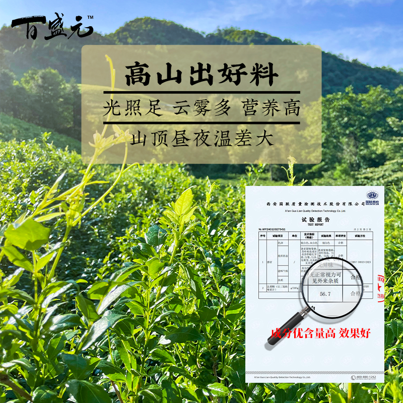 莓茶张家界特级仿野生芽尖龙须高山霉茶永顺藤茶百盛元官方旗舰店 - 图2