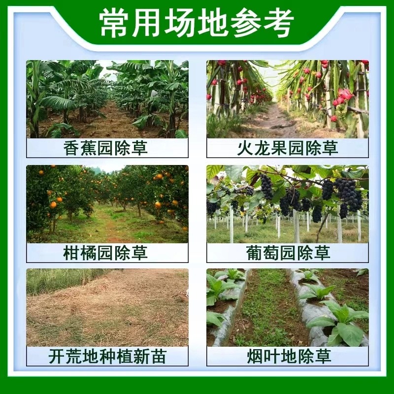 精草铵磷铵盐正品除草烂根剂一扫草铵膦草铵磷园地草安磷光农药 - 图2