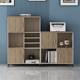 Low cabinet storage cabinet file cabinet simple modern floor-standing information storage cabinet office cabinet bookcase storage cabinet