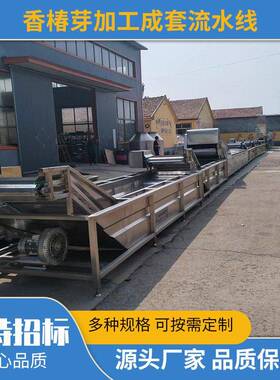 大型香椿芽加工成套生产流水线 秋葵叶菜去杂清洗杀青漂烫冷却机