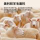 ເສື້ອຢືດຜ້າຝ້າຍສີເທົາ merino wool ນ້ຳໜັກເບົາ