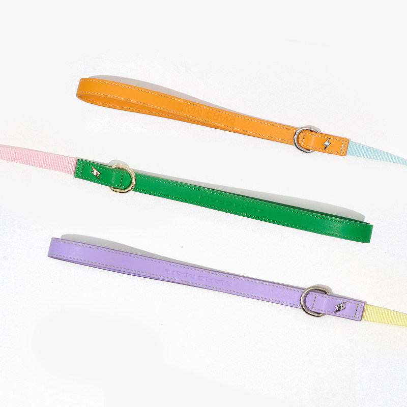 火星来电MarsMail宠物弹力牵引绳小型犬猫狗通用织带防爆冲遛狗绳,淘宝优惠券,粉丝福利购,淘宝优惠卷