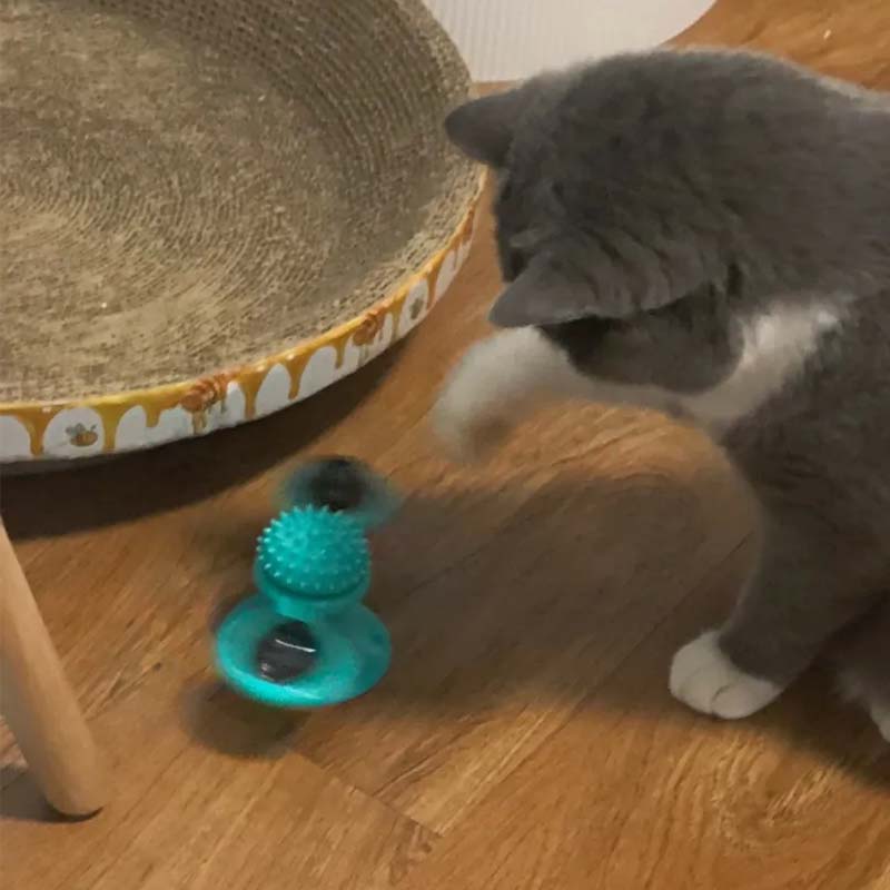 猫玩具逗猫棒自嗨解闷磨牙宠物猫转盘不倒翁风车小猫咪玩具用品 - 图0