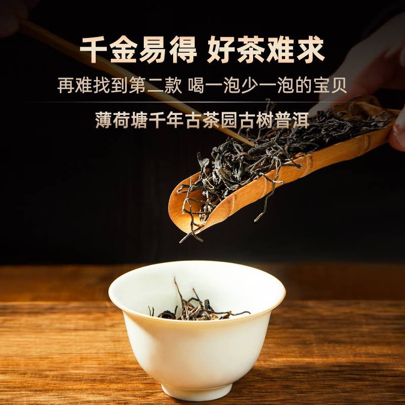 云南普洱茶生茶易武薄荷塘高杆古树纯料回甘头春普洱散茶散装茶叶-图2