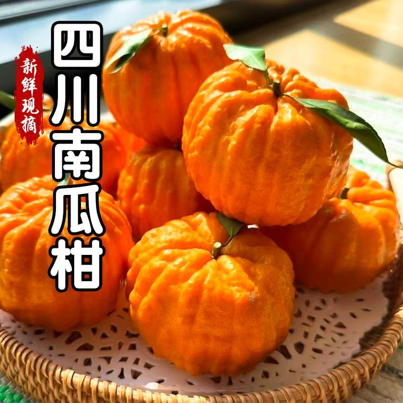 【顺丰礼盒】新鲜南瓜柑橘灯笼柑发财柑橘当季新鲜水果沙糖桔子,淘宝优惠券,粉丝福利购,淘宝优惠卷