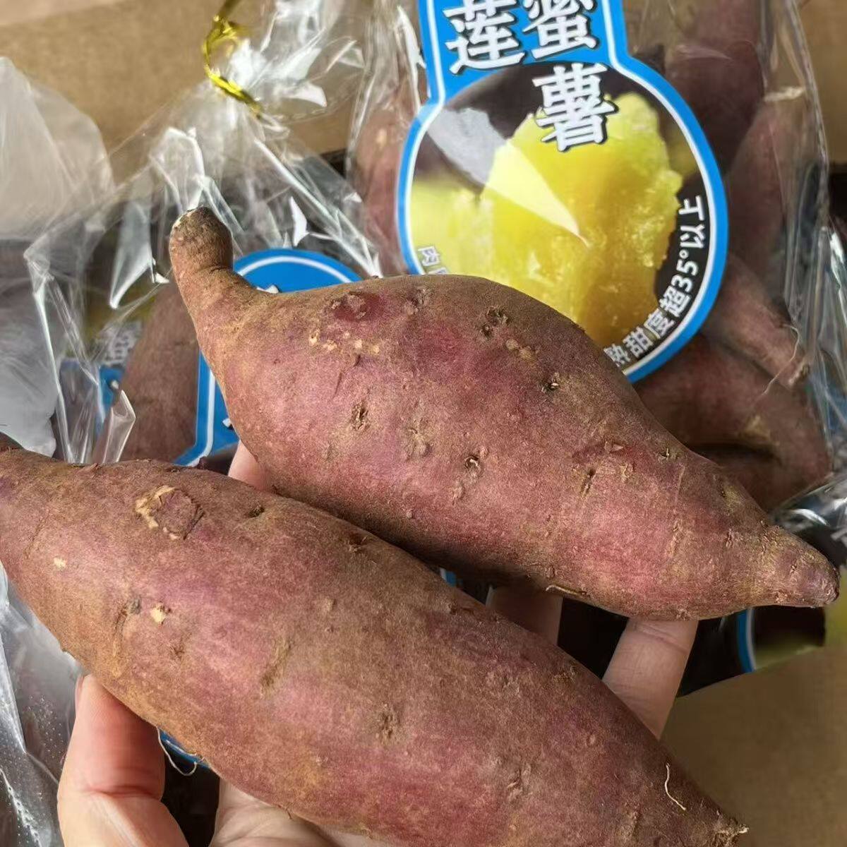 正宗火山红薯榴莲蜜薯稀缺好货北部湾番薯新鲜黄心糖心地瓜袋装