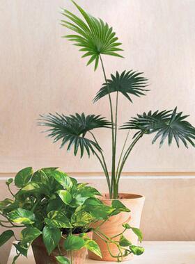 仿真绿植扇葵假绿植装饰家居室内落地棕榈葵树北欧风植物厂家