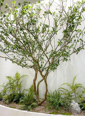 仿真绿植装饰造景辅材小植物摆设造景北欧蕨草软装搭配假花仿真花