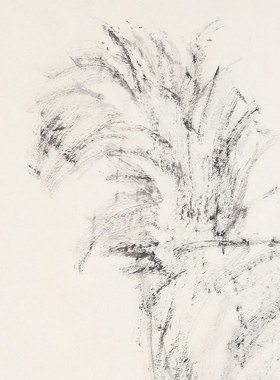 【底价捡漏】江苏省美协会员 陈茜【大脑虎】全屋装饰限量版画