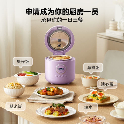【胡可推荐】大宇迷你电饭煲1到2人小型微压低糖家用电饭锅一人食 - 图3