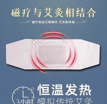 (Japan specializes) Agrass fever ` sticker ~ Buy 10 to send 12 male and female universal-breast-feeding period available