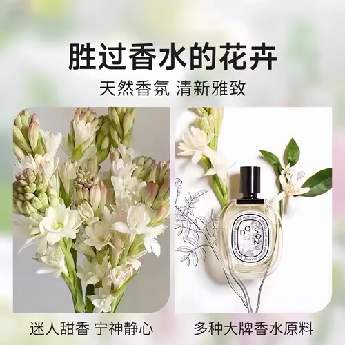 晚香玉种球重瓣大花球根夜来香浓香型多年生切花庭院阳台花卉盆栽 - 图2