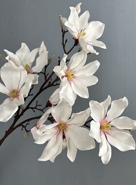 EVA玉兰花仿真花玉兰假花玄关新中式客厅摆件餐桌装饰多头大玉兰