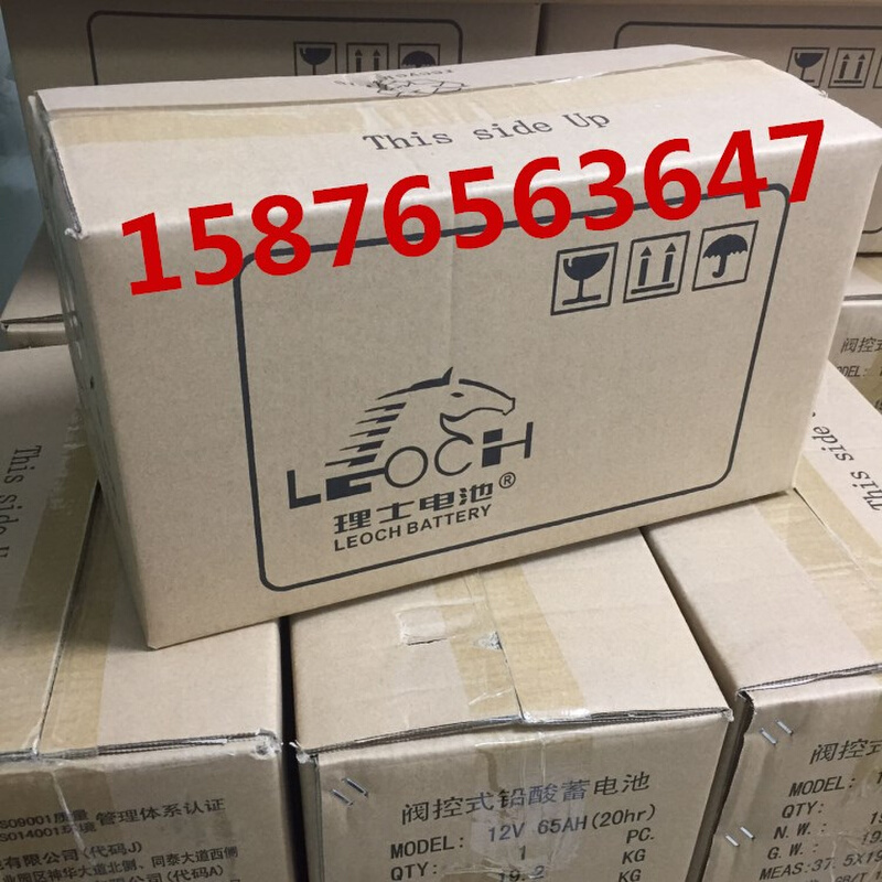 原装LEOCH蓄电池DJM1265 12V65AH20HR UPS直流屏电力机房电池现货 - 图2