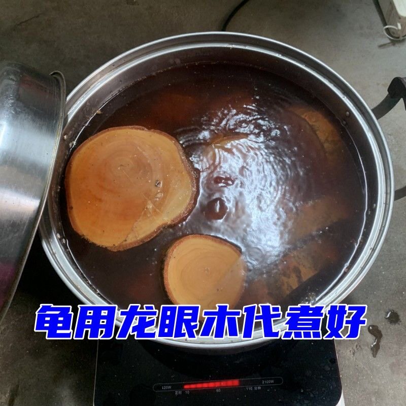 正宗龟用龙眼木晒背台乌龟爬坡休息台天然沉木鱼缸造景免煮