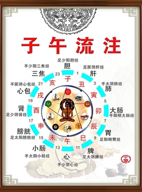 中医养生五行子午流注挂图 金木水火土五行图五脏六腑墙贴海报