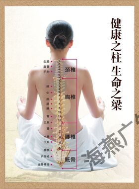 人体器官足太阳膀胱经穴位图足太阳膀胱经预防和主治的疾病海报