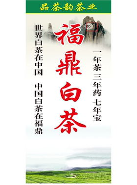 茶室茶叶店茶楼茶馆茶餐厅福鼎白茶壁画中式茶文化墙贴海报