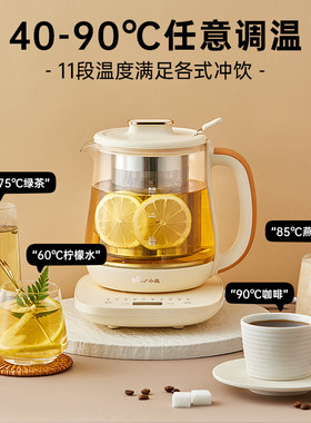 小熊养生壶家用多功能煮茶壶