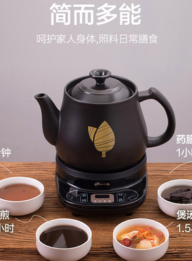 小熊电煎药壶熬药中药罐