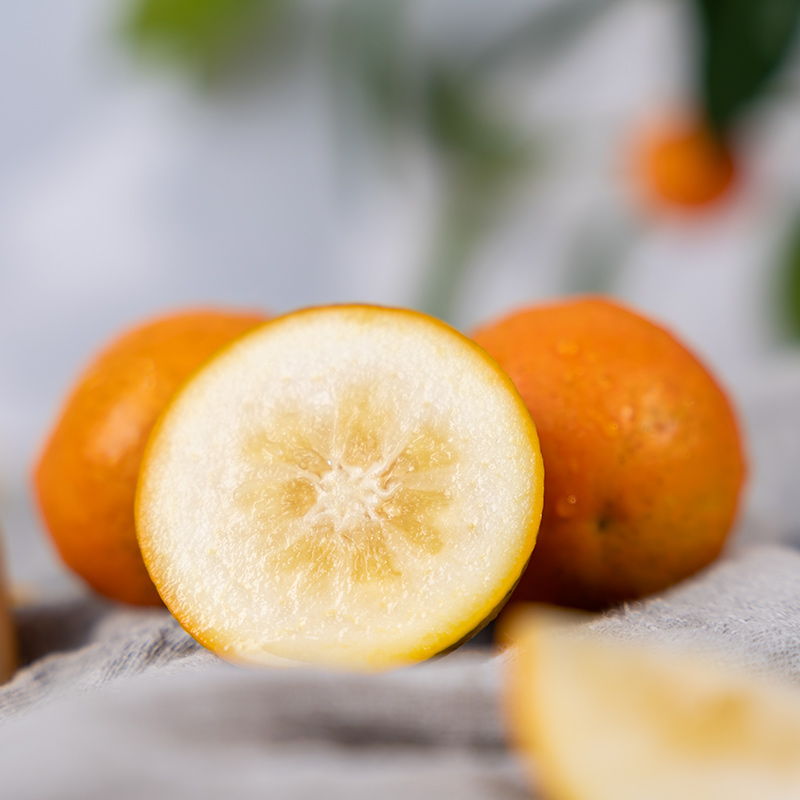 广西融安金桔第三代脆密金柑当季新鲜水果脆蜜金桔香甜多汁