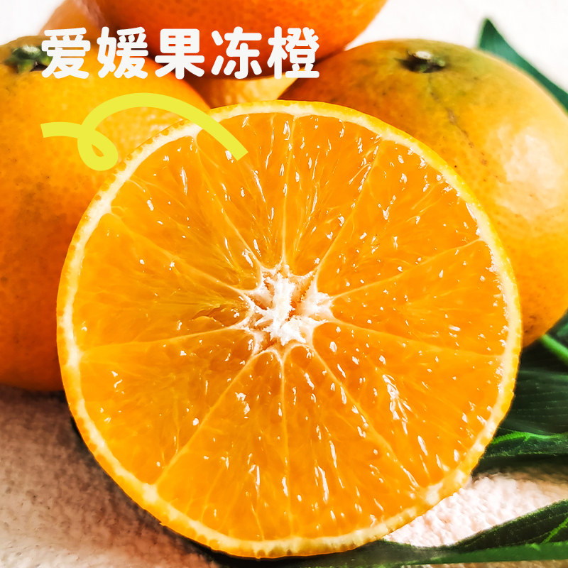 【交个朋友年货节】眉山爱媛橙38号果冻橙新鲜水果橙子产地直发