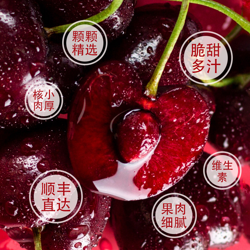 [现货]智利车厘子新鲜礼盒装5斤4J级进口大樱桃孕妇宝宝水果,淘宝优惠券,粉丝福利购,淘宝优惠卷
