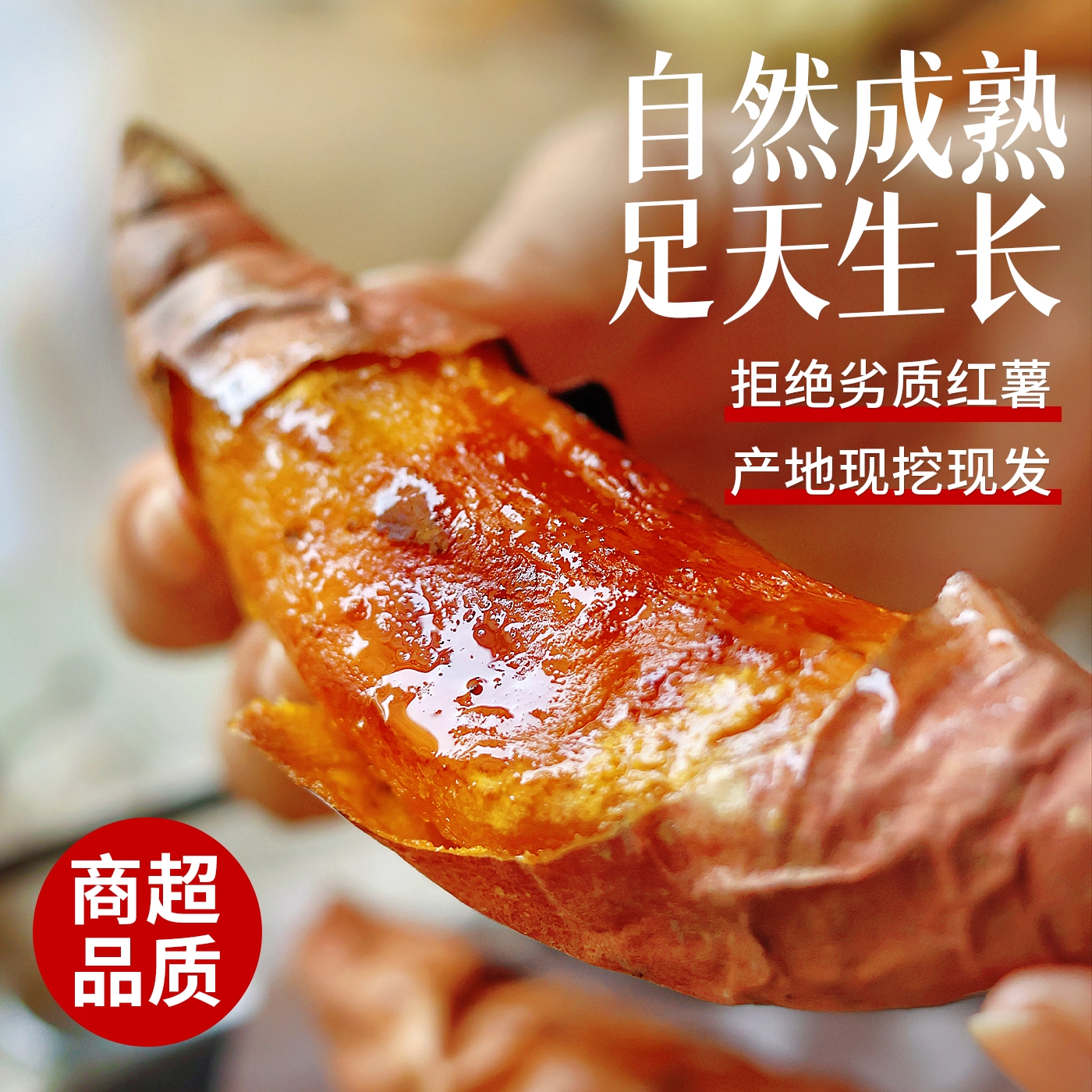 Shandong Yanshu No. 25 sweet potato candy heart