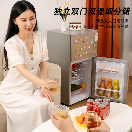 先科一级能效小冰箱家用小型宿舍租房用迷你省电办公室双门电冰箱 - 图2