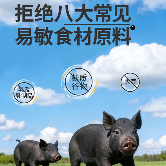 Minxing de fiambre de cerdo negro listo para comer en envases independientes portátiles