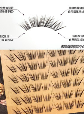 麦丢丢·迷雾森林假睫毛清透狐系上镜新手仿真漫画分段式棕色睫毛