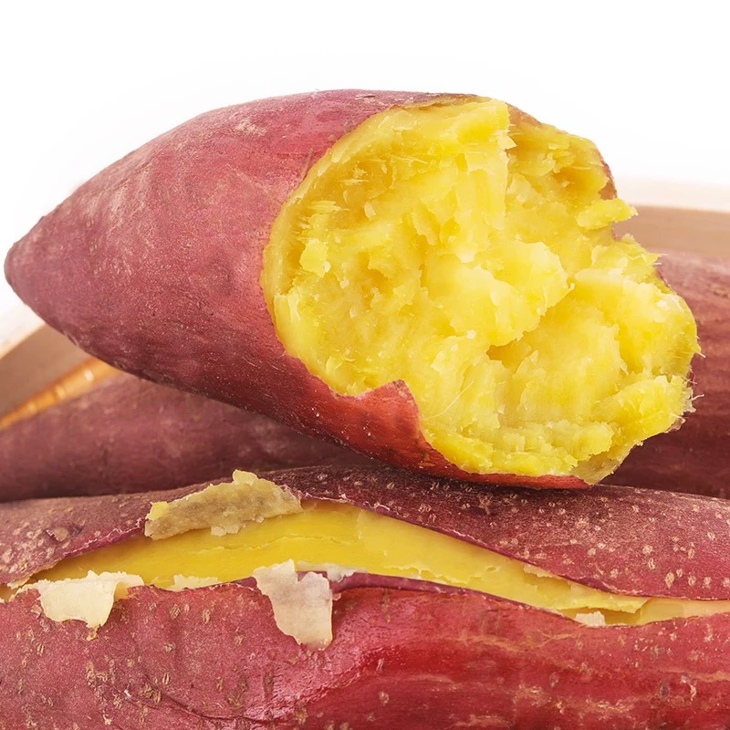 正宗蜜薯新鲜糖心9斤板栗番薯沙地红薯地瓜蔬菜农家自种六鳌