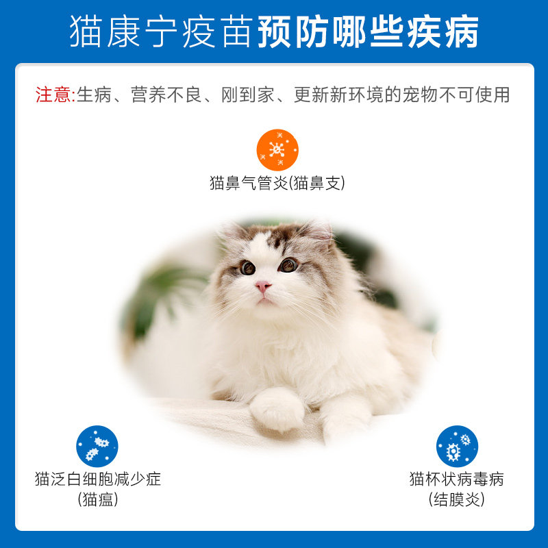 猫三联猫疫苗幼猫成猫一套自打疫苗套餐三联狂犬育苗预防猫瘟鼻支,淘宝优惠券,粉丝福利购,淘宝优惠卷