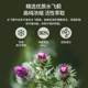 ດຽວນີ້ Noo Double Strength Milk Thistle Extract ບຳລຸງຕັບສຳລັບຜູ້ຊາຍ. ໝາກເຜັດນົມ ບຳລຸງຕັບ ແລະ ບັນເທົາອາການເມົາຄ້າງ ແລະ ນອນເດິກ.