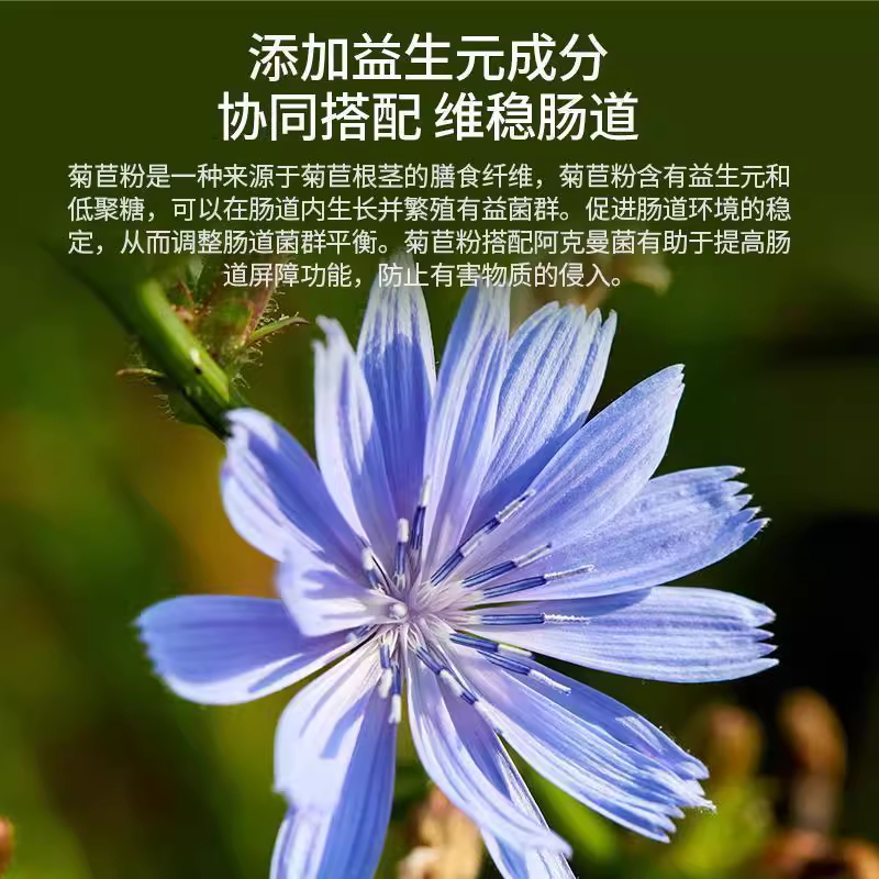 PendulumAKK瘦子菌体重身材管理益生菌抗糖代谢瘦瘦菌