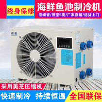 Battle Holy Seafood Fish Tank Chiller Pool Chiller Cold Water Machine Thermostatic Machine All-in-one Automatic Power Saving One Drag Two
