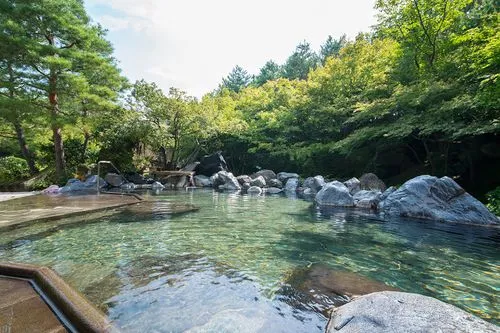 【日本名古屋】名花之里灯海&奥莱温泉一日游购物/温泉/走灯秀-图1