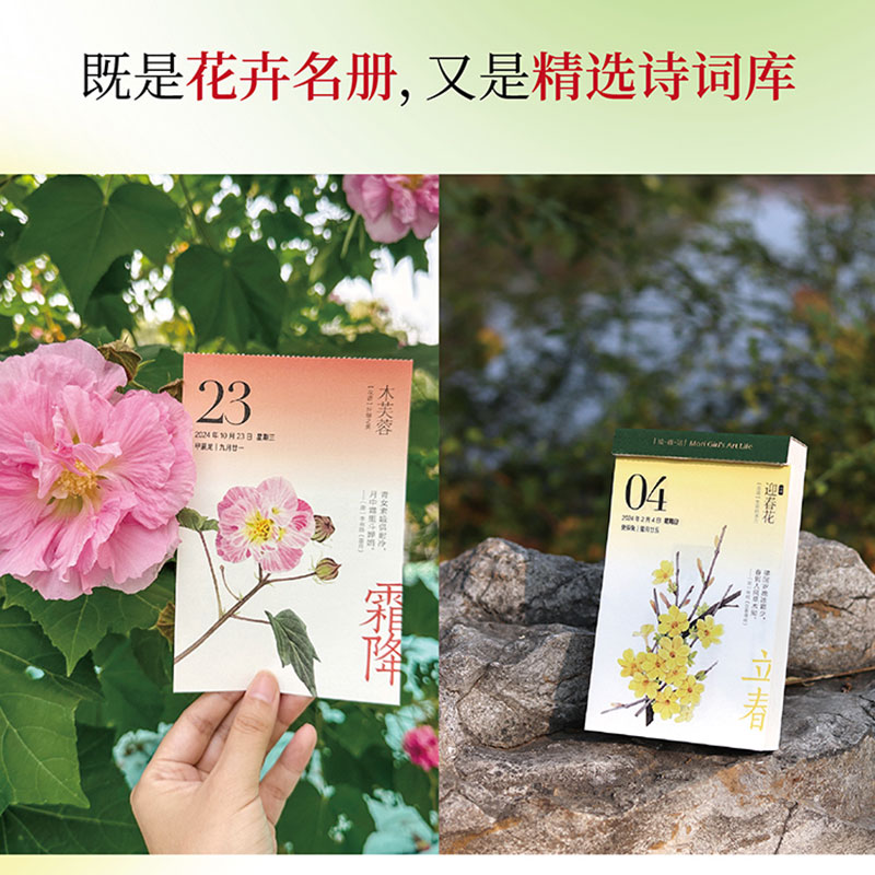 正版花开有时2024年日历新款手撕日历创意水彩花卉插画图龙年台历 - 图1